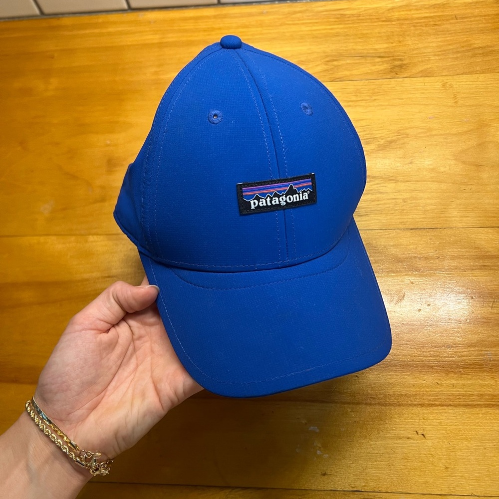 Patagonia Vibrant Blue Baseball Cap